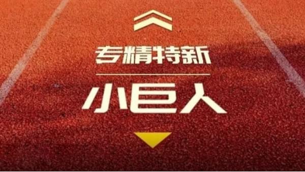 德曼公司受益國(guó)辦托舉國(guó)家級(jí)專精特新“小巨人”企業(yè)-寧波德曼壓縮機(jī)